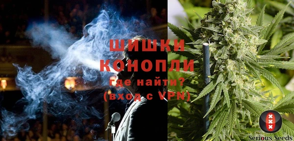 дмт Надым