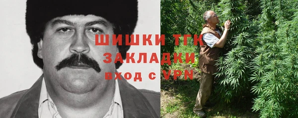 дмт Надым
