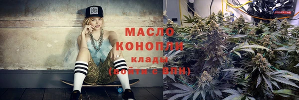дмт Надым