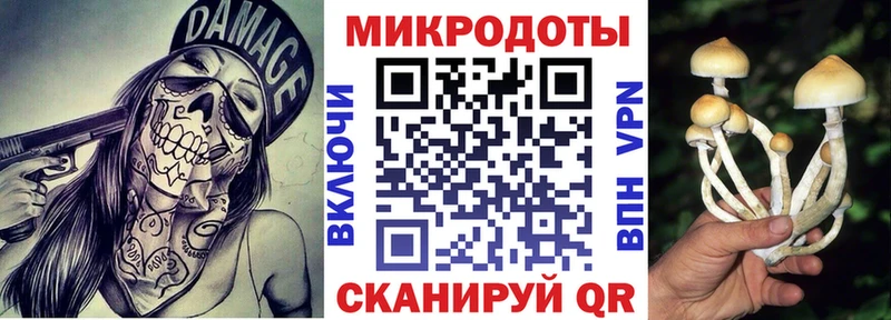 Псилоцибиновые грибы Psilocybe  Нижневартовск 