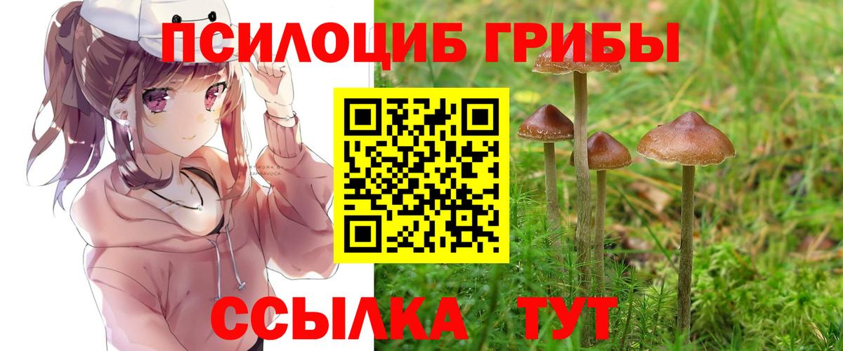 Галлюциногенные грибы GOLDEN TEACHER  Вход с VPN  наркота  Нижневартовск 